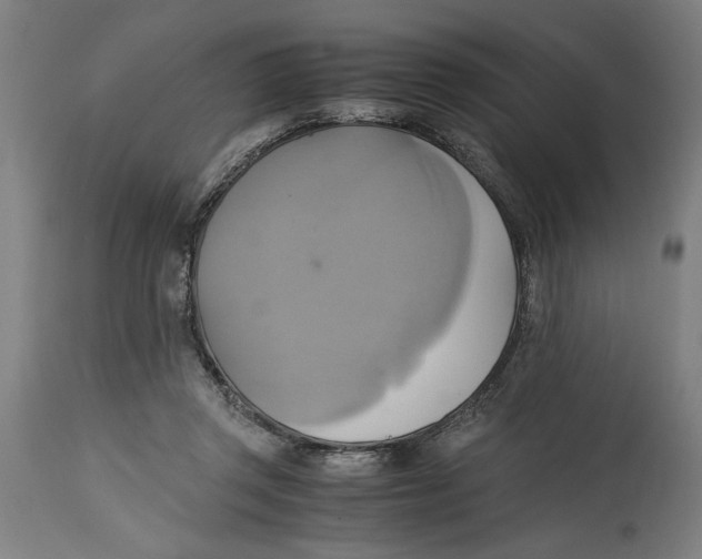 X0000114700357200911181322