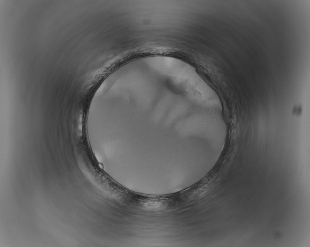 X0000114700358200911181322