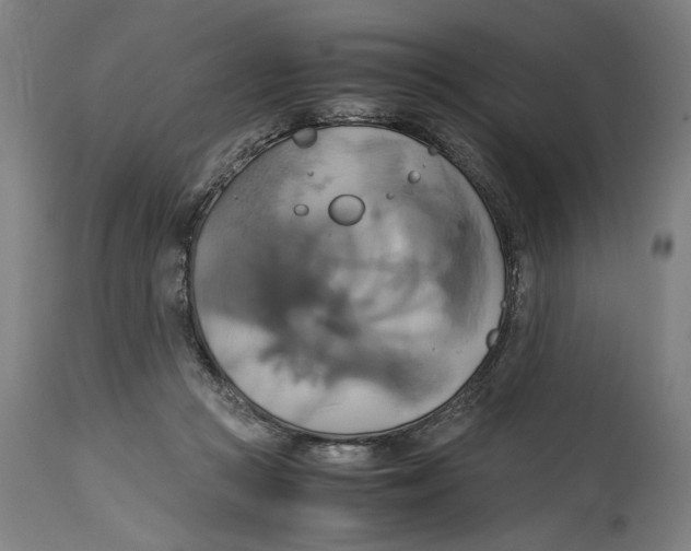 X0000114700361200911181322