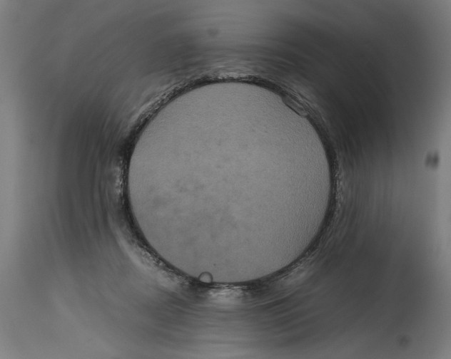 X0000114700362200911181322