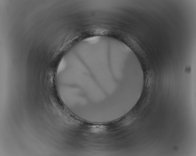 X0000114700363200911181322