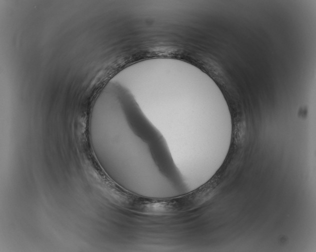 X0000114700365200911181322