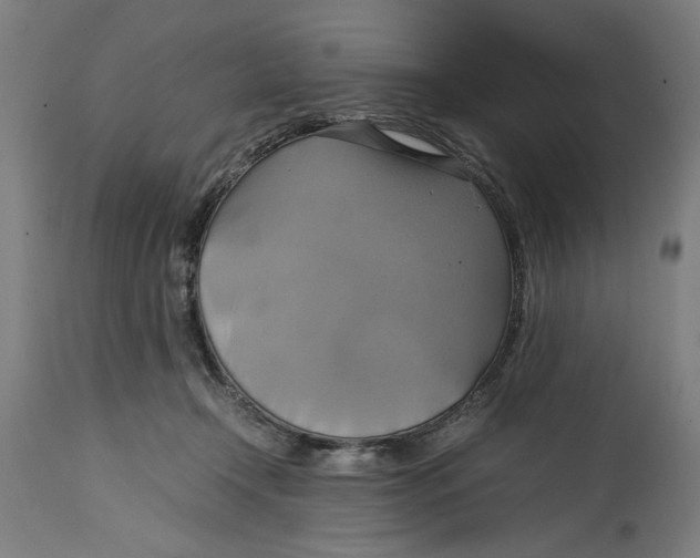 X0000114700366200911181322