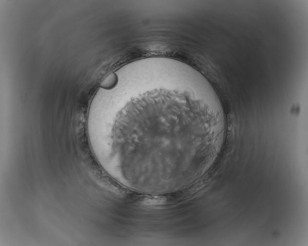 X0000114700369200911181323