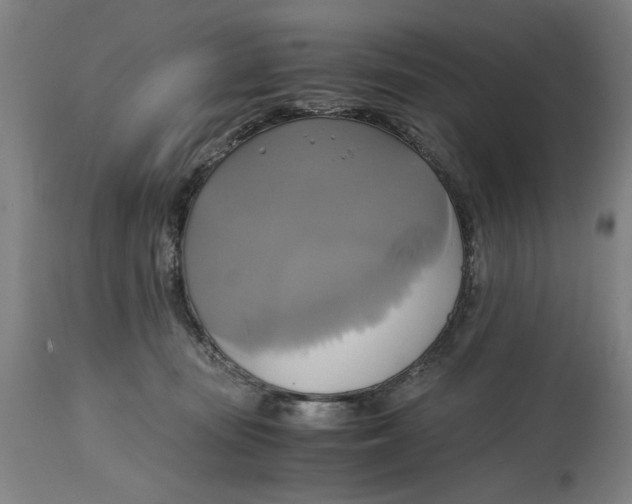 X0000114700371200911181323