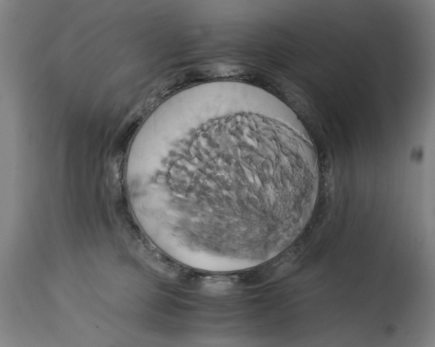 X0000114700373200911181323