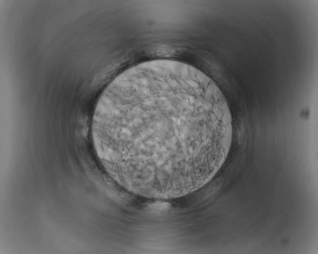 X0000114700374200911181323