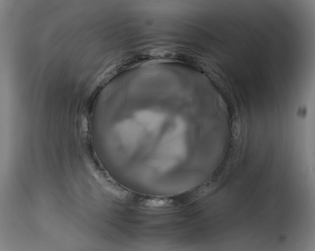 X0000114700375200911181323