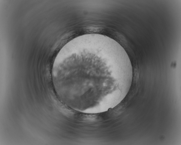 X0000114700377200911181323