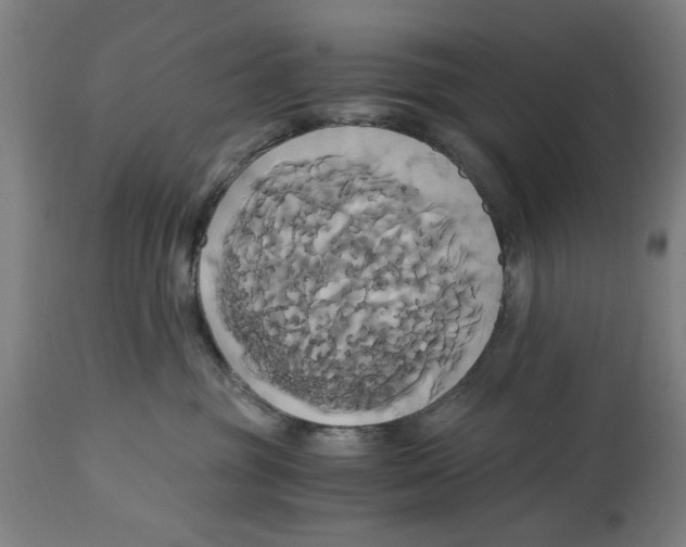 X0000114700381200911181323