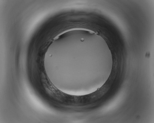 X0000114700383200911181323