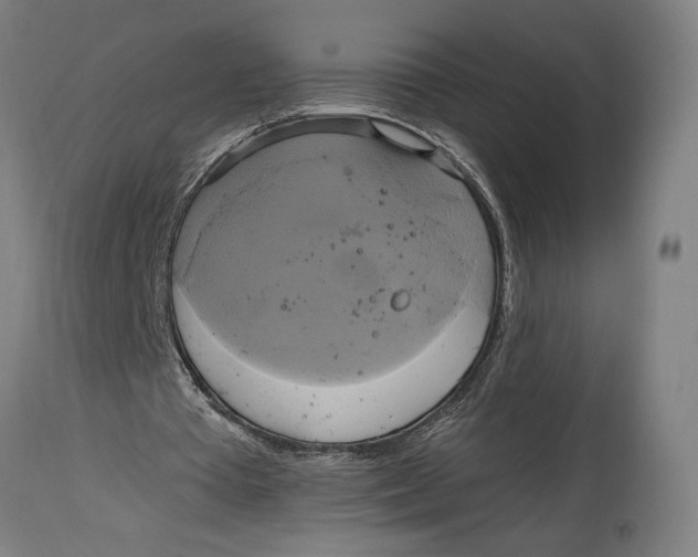 X0000114700385200911181322