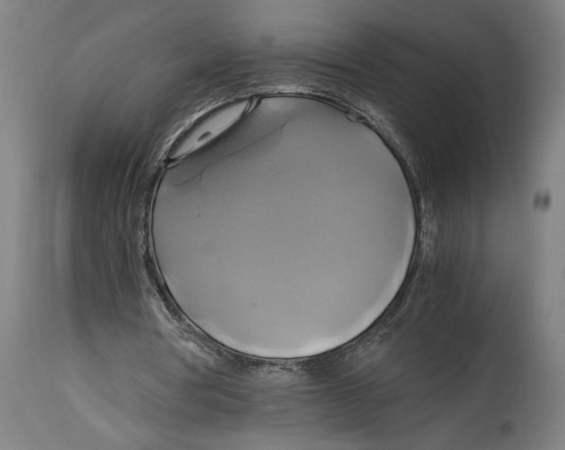 X0000114700386200911181322