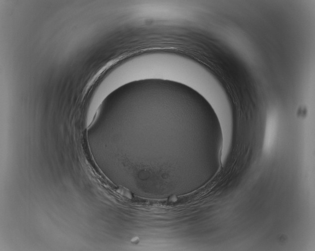 X0000114700387200911181322