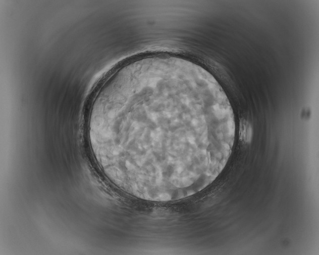 X0000114700388200911181322