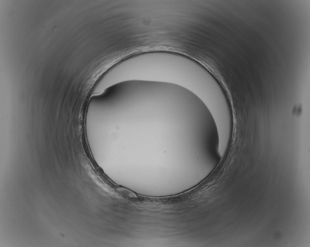 X0000114700389200911181322