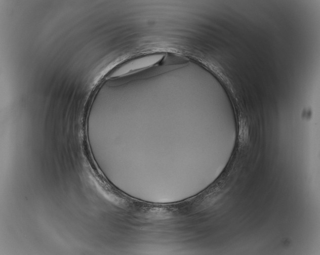 X0000114700390200911181322