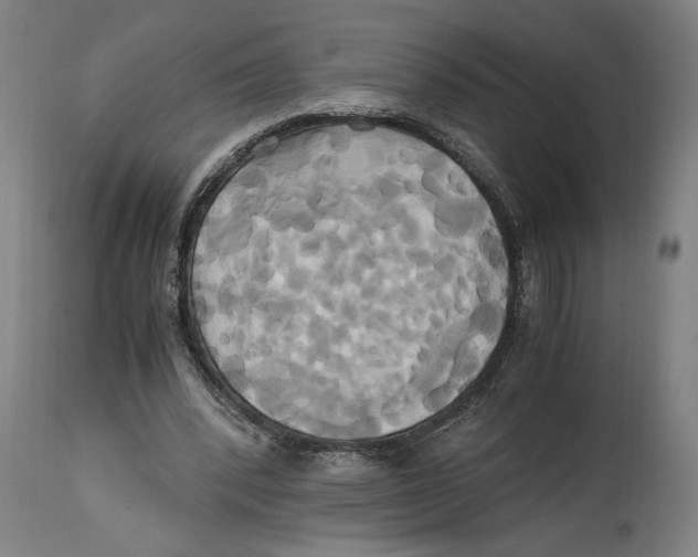 X0000114700392200911181322