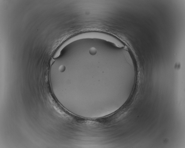 X0000114700393200911181322