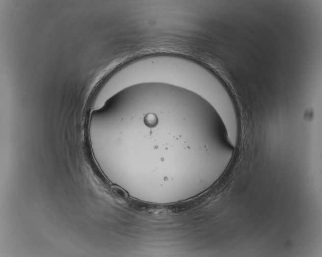 X0000114700395200911181322