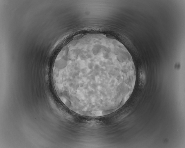 X0000114700396200911181322