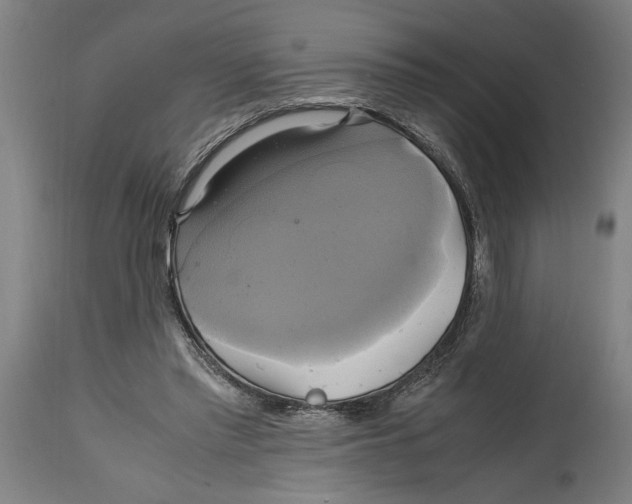 X0000114700397200911181322