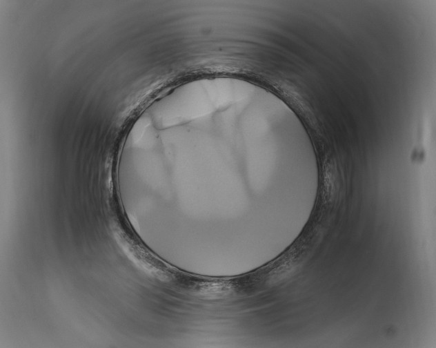 X0000114700398200911181322