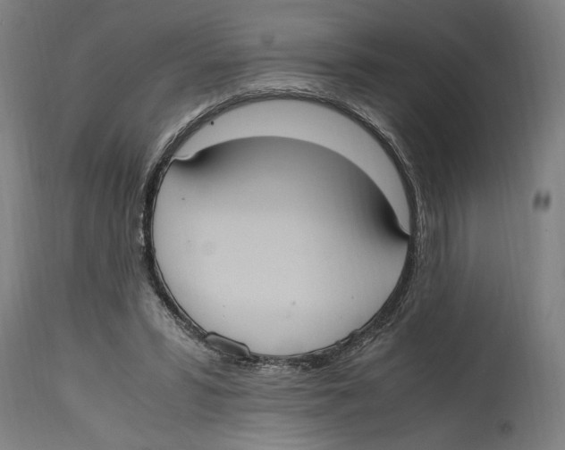 X0000114700399200911181322