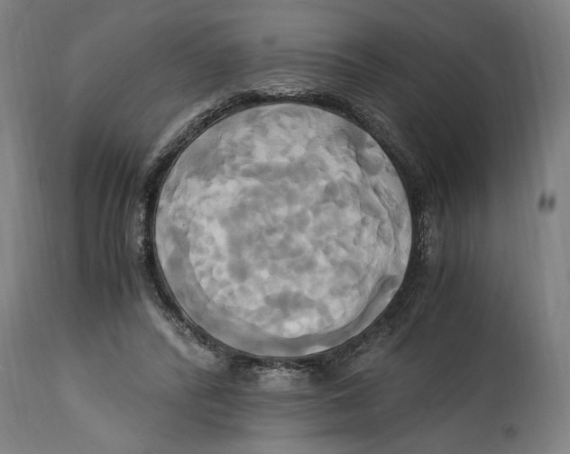 X0000114700400200911181322