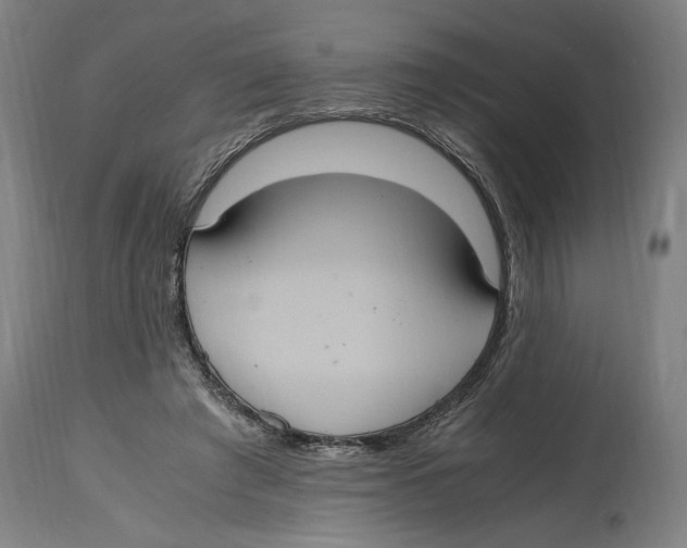 X0000114700401200911181322