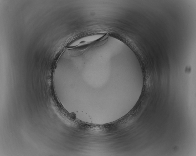 X0000114700402200911181322