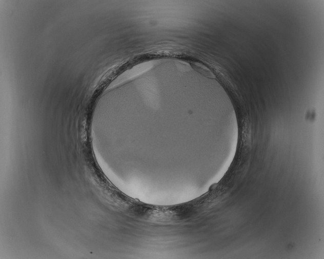 X0000114700403200911181322