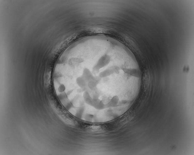 X0000114700406200911181321