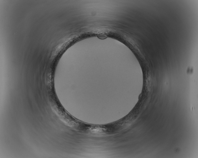 X0000114700407200911181321