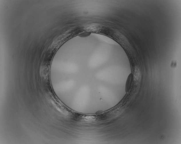 X0000114700409200911181321