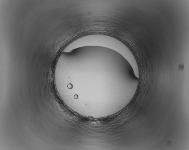 X0000114700411200911181321