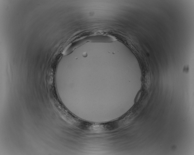 X0000114700413200911181321