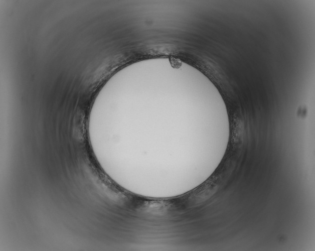 X0000114700414200911181321