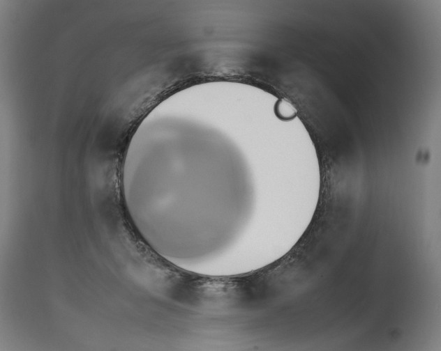 X0000114700415200911181321