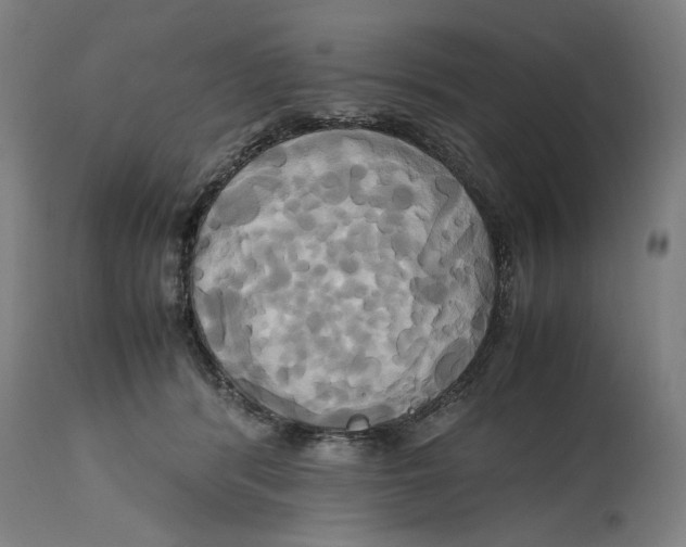 X0000114700416200911181321