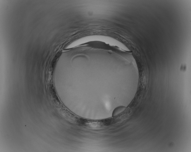 X0000114700417200911181321