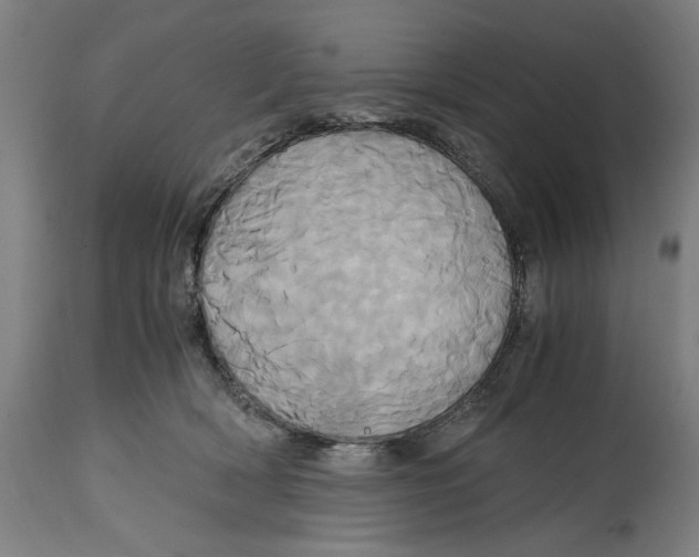 X0000114700418200911181321