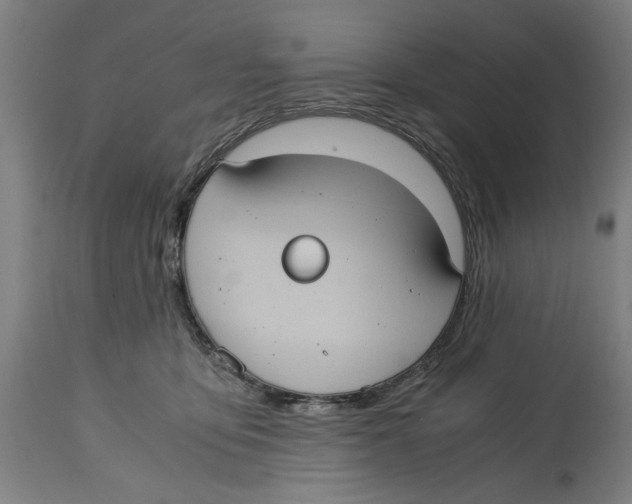 X0000114700419200911181321