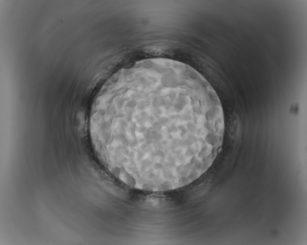 X0000114700420200911181321