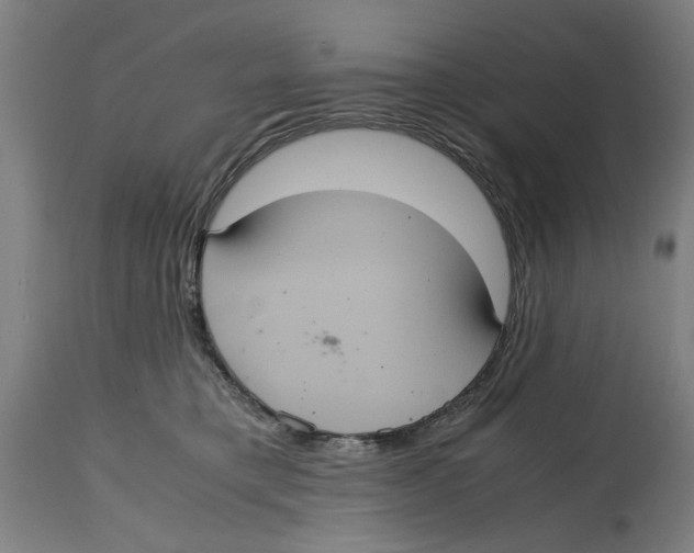 X0000114700421200911181321