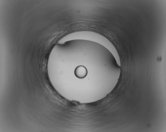 X0000114700423200911181321