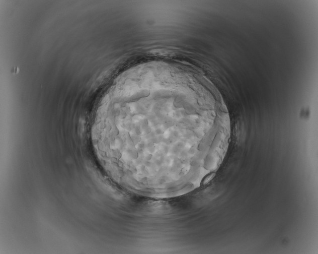 X0000114700424200911181321