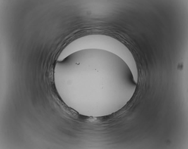 X0000114700425200911181321