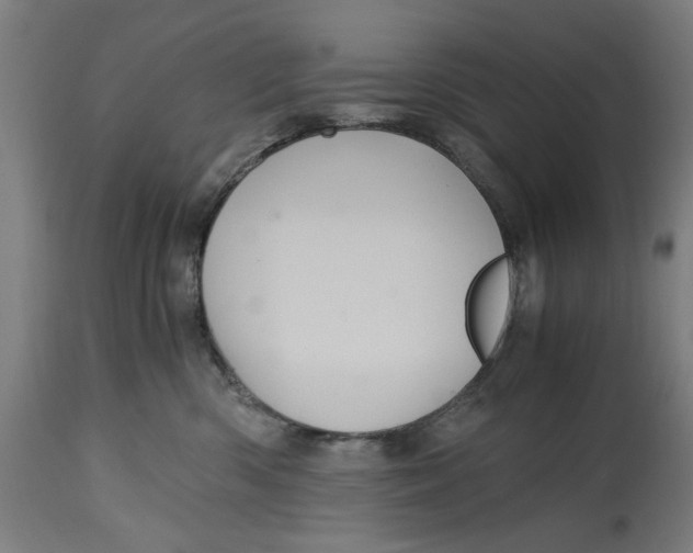 X0000114700426200911181321