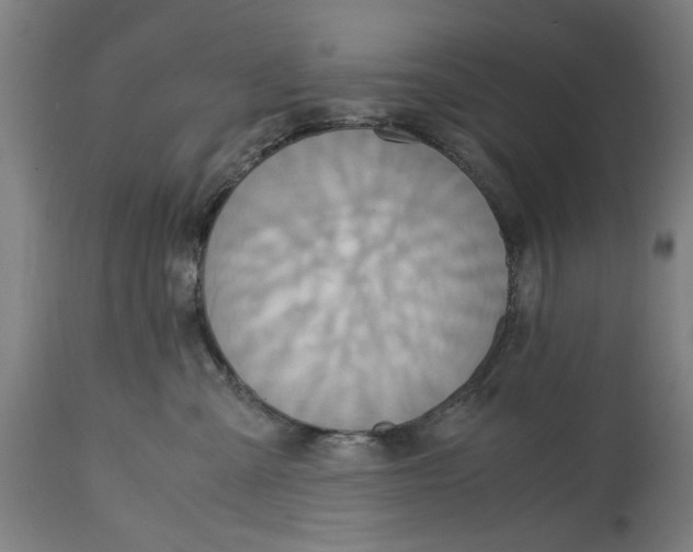 X0000114700427200911181321